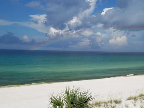 sugar white  sand beach steps away