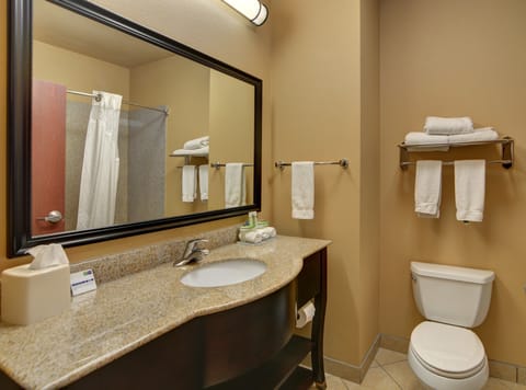 Combined shower/tub, free toiletries, hair dryer, towels