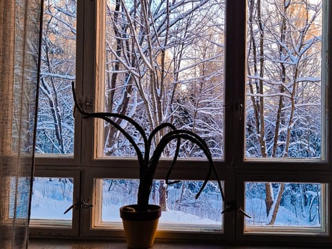 Family Room, Shared Bathroom | View from room