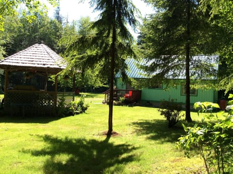 Yes, the sun does shine in the rain forest. Want to play horse shoes?