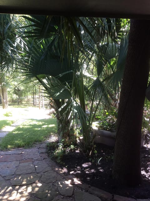 Small Private Patio