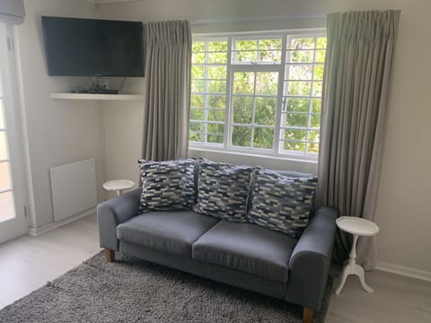 Deluxe Suite | Living area | 32-inch flat-screen TV with satellite channels, TV