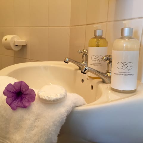 Twin Room | Bathroom | Shower, free toiletries, towels