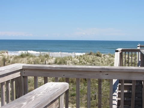 Studio | Beach | On the beach