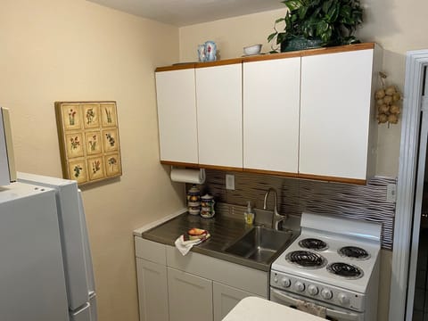 RETRO STAINLESS STEEL COUNTER TOP AND SINK; NEW APPLIANCES. 