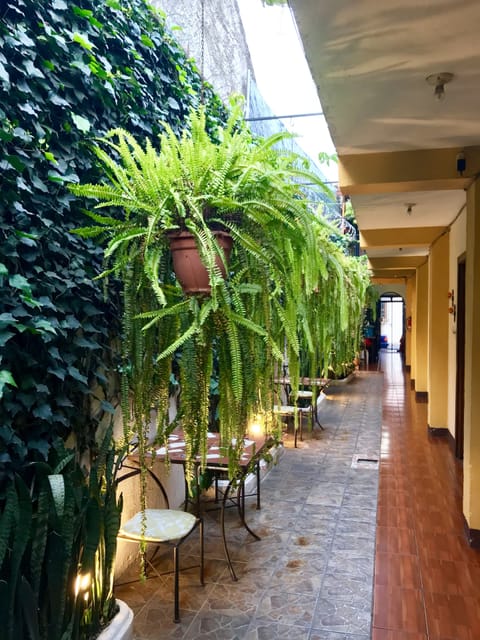 Double Room, 1 Double Bed, Private Bathroom, Courtyard Area | View from room