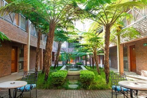 Double or Twin Room | Terrace/patio