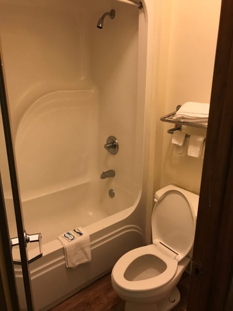 Combined shower/tub, free toiletries, hair dryer, towels