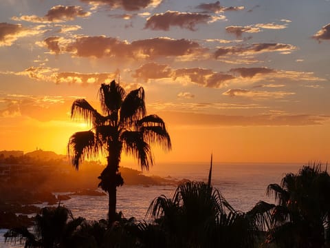 Sunrise view from the terrace. Enjoy breakfast and coffee!