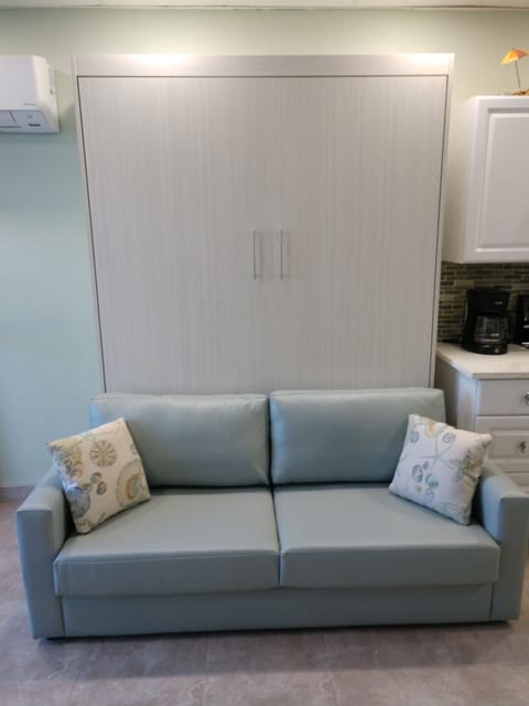 Comfortable couch during the day.  