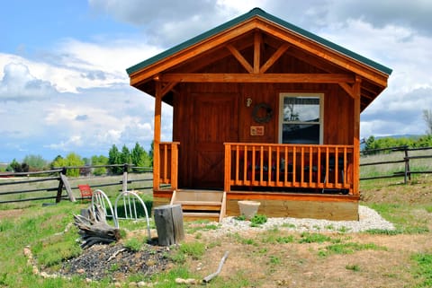 Wolf Den Cabin- front view