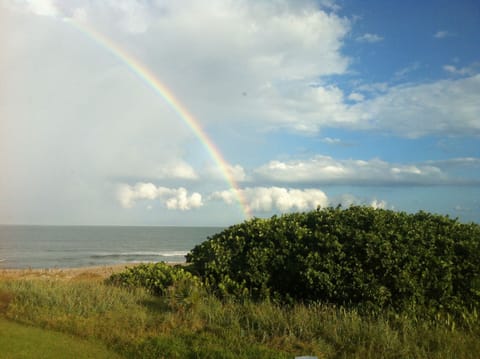 You've found your Pot O Gold
