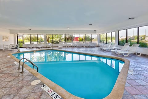 Indoor pool, sun loungers
