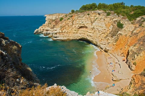 Beach nearby, free beach shuttle