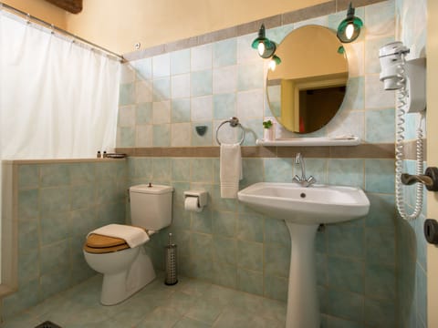Standard Double Room | Bathroom | Separate tub and shower, free toiletries, hair dryer, towels