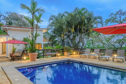 Back garden & pool