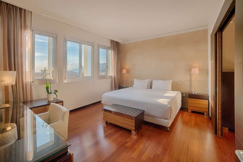 Minibar, in-room safe, desk, free WiFi