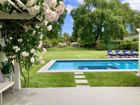 Pool and backyard from deck off kitchen
