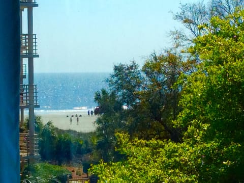 Ocean & beach as viewed through our picture window