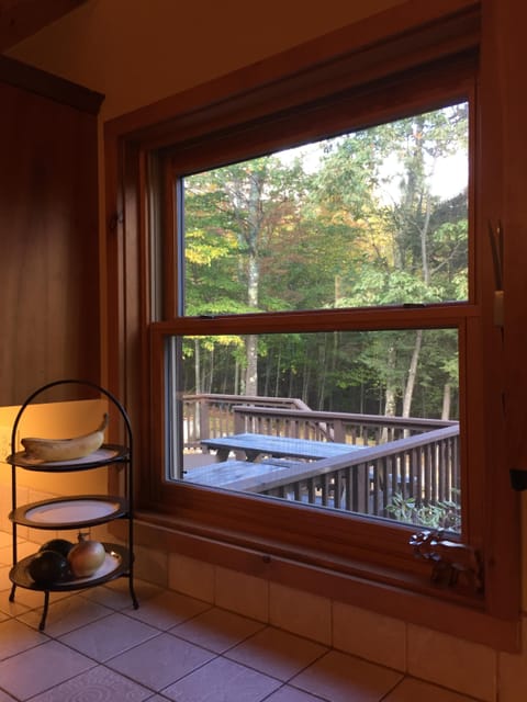 View of the deck, surrounding woods, and brook from kitchen window.