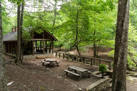 Picnic Area