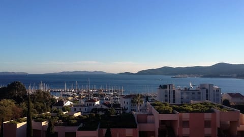 View from the solarium