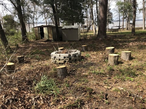 Fire pit for roasting marshmallows 