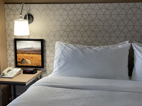 Standard Room, 1 King Bed | Premium bedding, pillowtop beds, in-room safe, desk