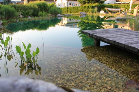 Seasonal outdoor pool, a natural pool, pool umbrellas, sun loungers
