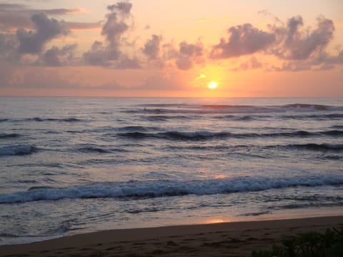Magnificent Sunrises on the Beach a minute walk from my condo I go with coffee 