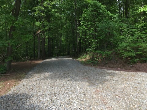 Driveway leading up to the cottage 