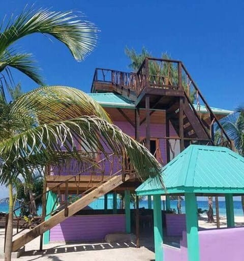 Purple Octopus Suite North View