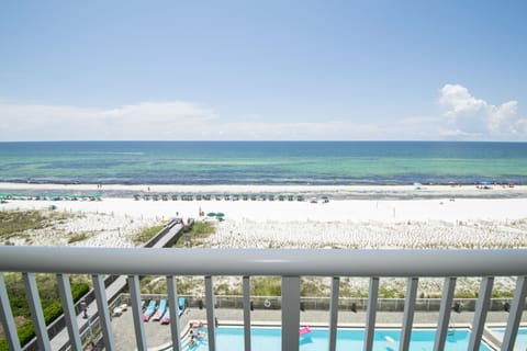 Gorgeous View