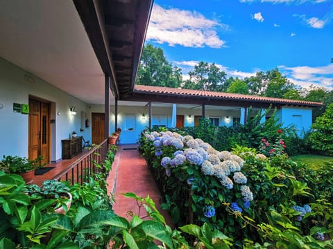 Double or Twin Room | Terrace/patio