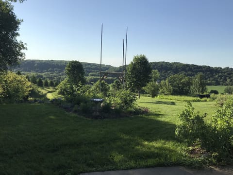 Our guests LOVE the bird watching!