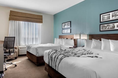 Desk, WiFi (free), bed sheets