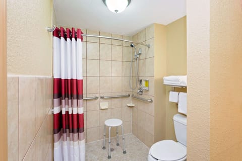 Combined shower/tub, free toiletries, hair dryer, towels
