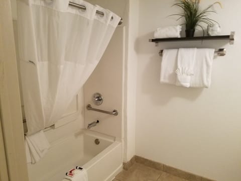 Combined shower/tub, free toiletries, hair dryer, towels