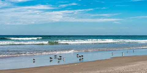 Condo, 1 Bedroom | Beach | Beach nearby