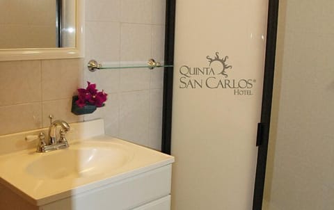 Single Room | Bathroom | Shower, hair dryer, towels