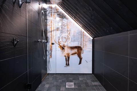 Aurora Cabin Family | Bathroom | Shower, hair dryer, bidet, towels