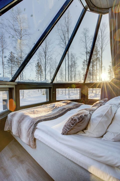 Aurora Cabin Family | View from room