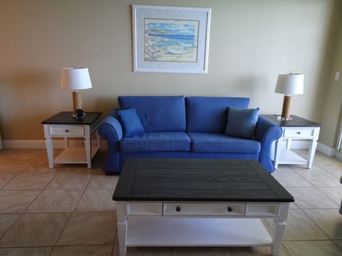 Living room with sleeper sofa