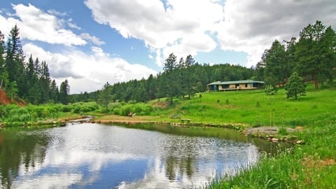 Spring at the pond