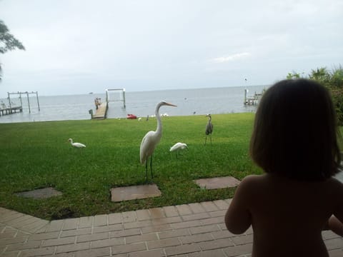 friends in the backyard