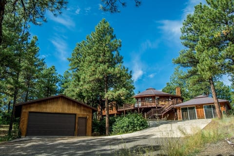 Welcome to Tree House!