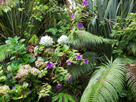 Standard Room, 1 Queen Bed, Garden View (Lokahi Lodge) | Garden view
