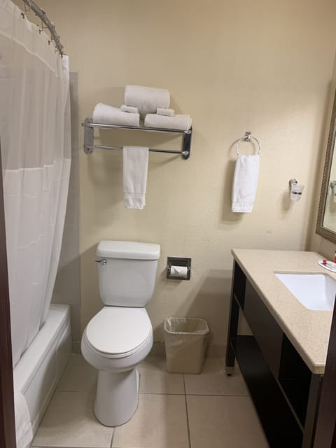 Combined shower/tub, free toiletries, hair dryer, towels
