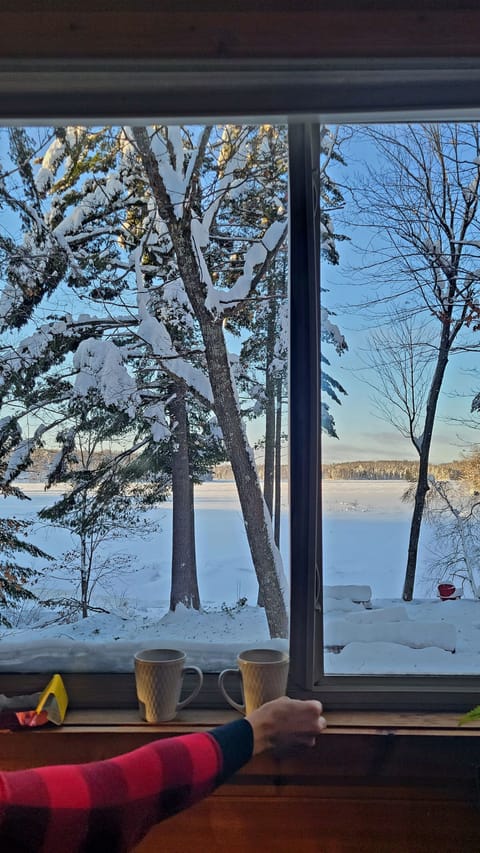 Your morning winter coffee view