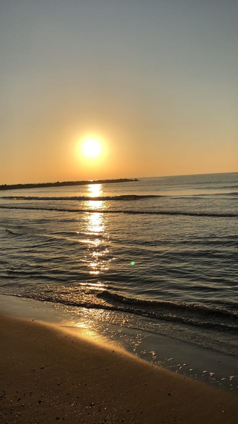 Beach nearby, white sand, sun loungers, beach umbrellas
